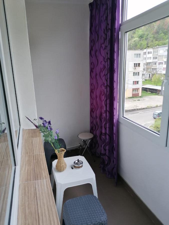 Apartament Alexia Apartment Orsova Ngoại thất bức ảnh